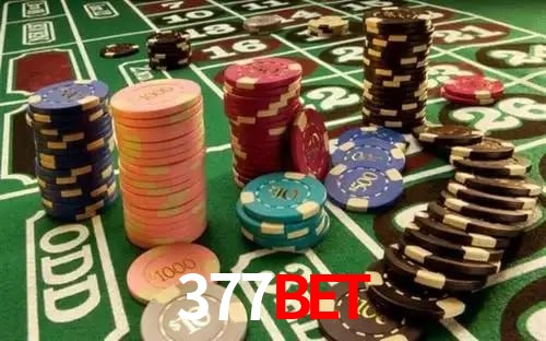Apostas com odds competitivas na 377bet